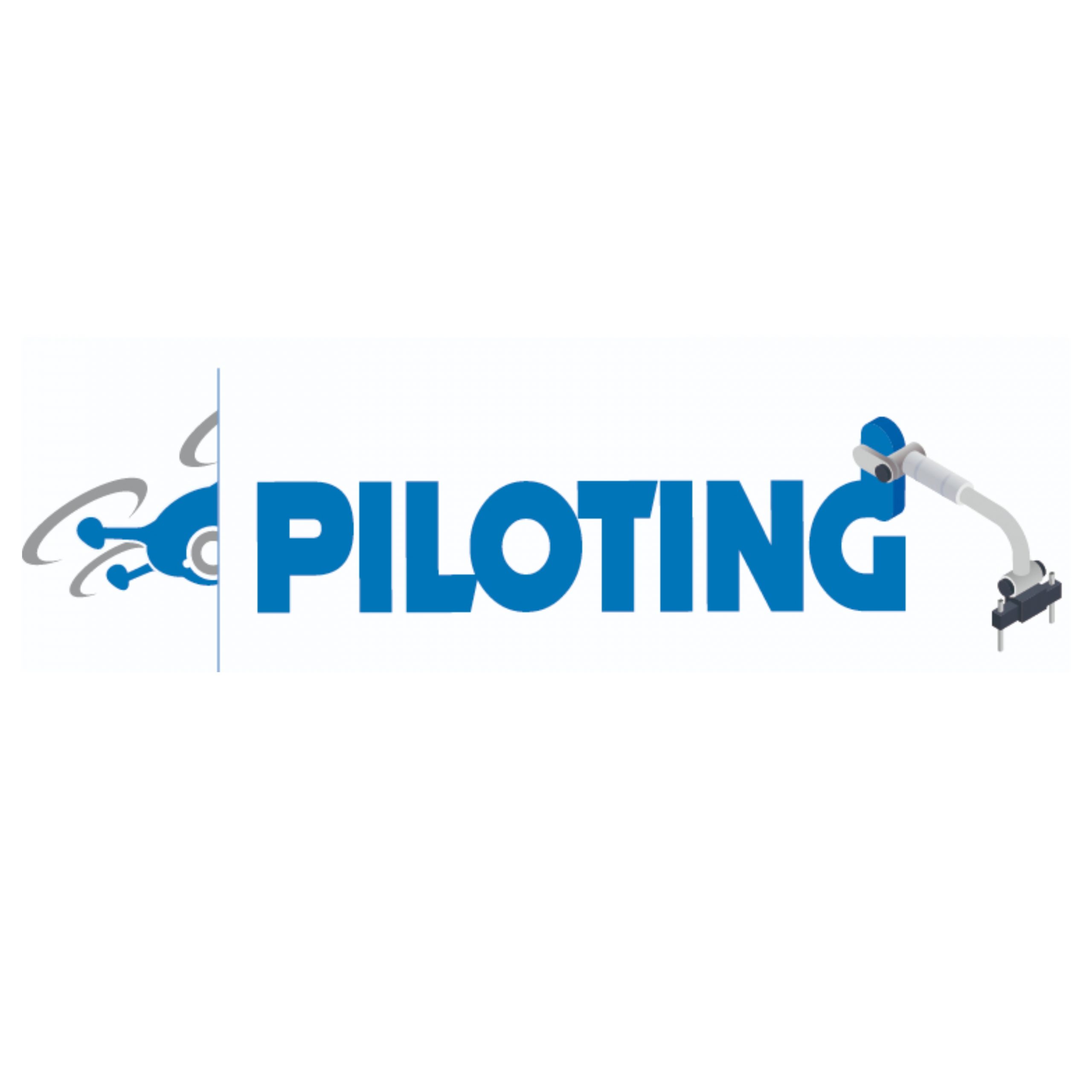 Read more about the article PILOTING