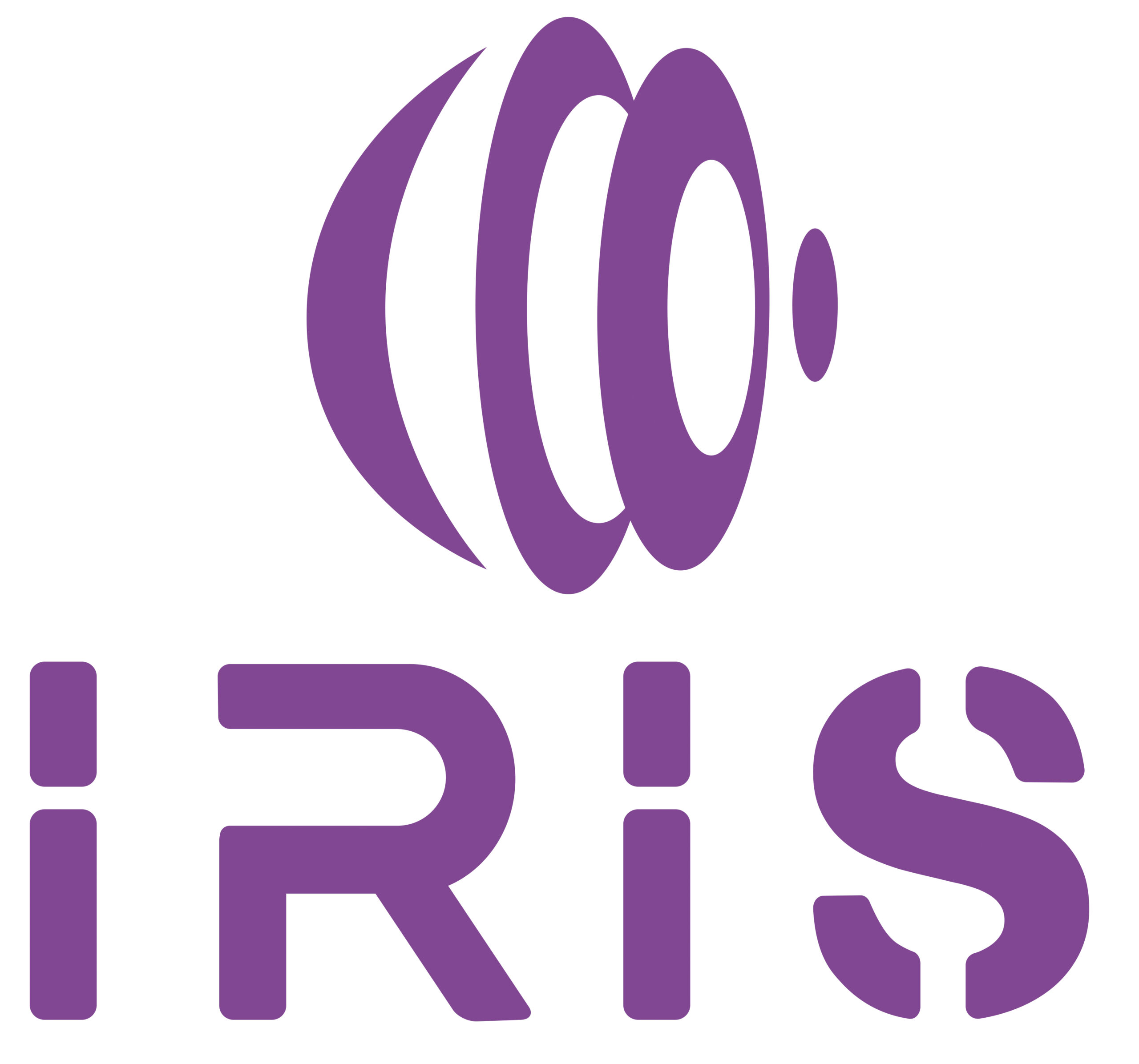 Read more about the article IRIS: A new EU project has come to protect ICT systems